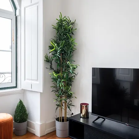 Apartman Akicity Ourique Terracota *